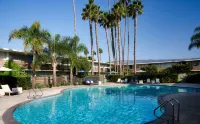 The Leta Santa Barbara Goleta, Tapestry Collection by Hilton - Pools