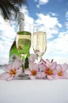 Lake Kariba Inns Hotels in Siavonga