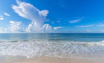 Phoenix VI by Brett Robinson Vacations