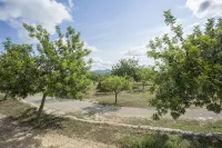 Las Mariposas Ibiza
