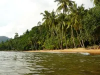 Jungle Garden Hotels in Koh Chang