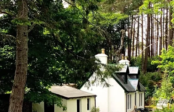 託裏登莊園酒店