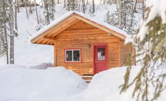 Spruce Cabin