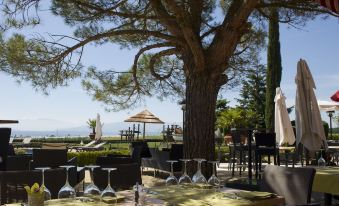 a large tree with its branches spread out , providing shade and a view of the ocean at Everness Hotel & Resort