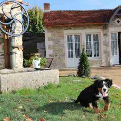 Château des Cèdres Hotel Exterior