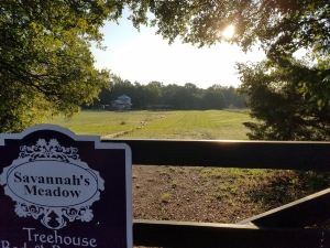 Savannah's Meadow
