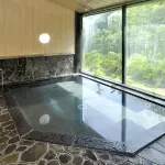 Hida Manga Kingdom
