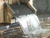 Ishidaya Hotel a Iiyama