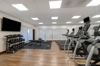 Holiday Inn Express & Suites BRIGHTON by IHG - Gym