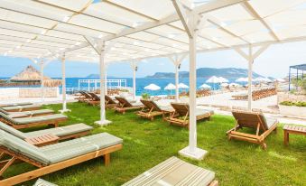 a rooftop terrace with white umbrellas and green grass , providing shade and comfort for the sun loungers at Aquarius Hotel