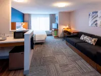 SpringHill Suites Rochester Mayo Clinic Area/Saint Marys Hotels near Shades of Green