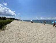 Stunning Beachfront Villa for Rent