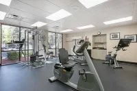 Best Western Plus Inn of Williams - Gym