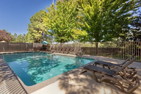 Best Western Plus Inn of Williams