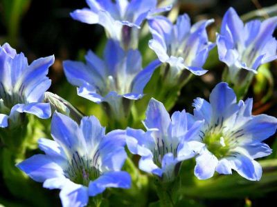 その他 レゾネイトクラブくじゅうの写真