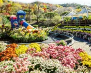 Cheongyang Goun Healing Gramping Hotels in Cheongyang-gun