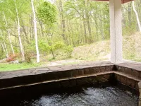 Pension Wines Hotels in Minamiaizu