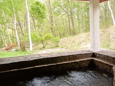 Pension Wines Отели в г. Минамиайдзу