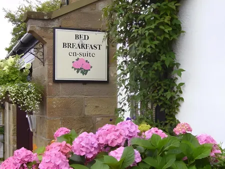 Thorpe Green House Vegetarian Bed & Breakfast Отели рядом с достопримечательностью «Whalebone Arch»