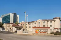 Comfort Suites Downtown Hotels in Winter Park