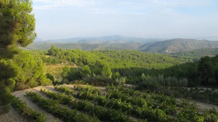 Near Barcelona, comfortable vacation apartment in country house surrounded by vineyards Отели в г. Абіньюнет-дал-Панадес