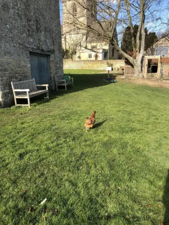 Beautiful self contained character Cotswold style cottage 15