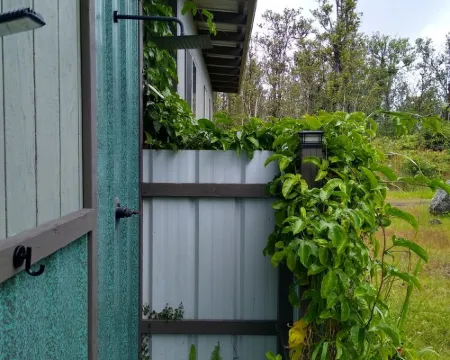 Rainforest Volcano Retreat – As Seen on TV! Near Volcanoes Nat’l Park ファーン・フォレストのホテル