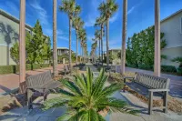 Luxury Beach Home ~ Steps To Beach / Heated Gulf Pool, Seacrest, Rosemary &Alys!