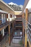 'Best Deal in Telluride' - Walk to Gondola & lift 8!     TBL #00111