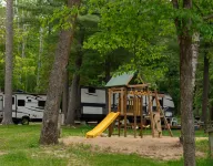 Tiny cabin in towering pines, with lake view. Pets accepted!