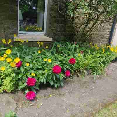 Stunning Pet friendly Cottage in beautiful Weardale Hotel Exterior