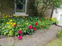 Stunning Pet friendly Cottage in beautiful Weardale Hotel in zona North Pennines National Landscape