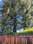 Stylish Condo Steps from St. Helena Wineries & Downtown
