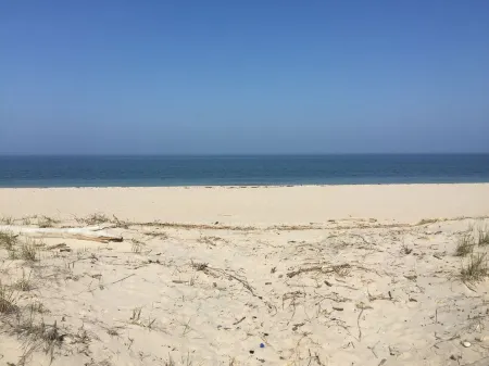 Lovely Cottage in the Heart of Long Island Wine country