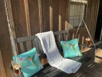 1 Playful Cub-Great Unbelievable Rates, Check it Out