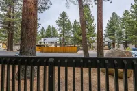 Clean + Modern Studio/Walk to Shops in Town/Hot Tub + Pool/Sauna/Pet-Friendly