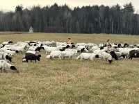 Beautiful, Well-Appointed, 1-Bedroom Apt with Gorgeous Views