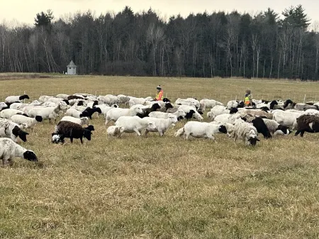 Beautiful, Well-Appointed, 1-Bedroom Apt with Gorgeous Views