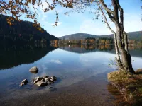 3 cozy chalets of 52 m2 located 4km from Gerardmer XONRUPT with WIFI