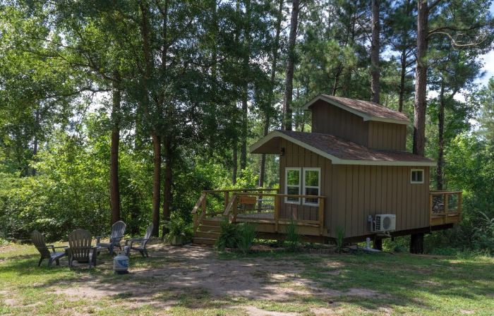 Escape to the Canopy: Enchanting Treehouse Retreat in the Heart of Nature