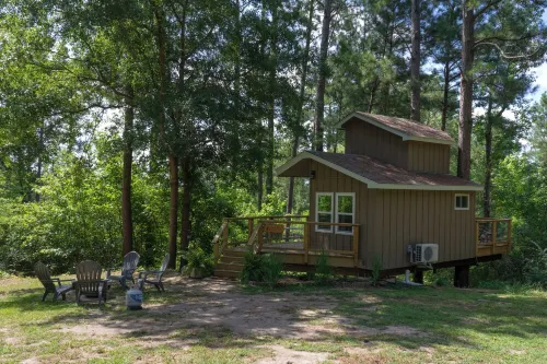 Escape to the Canopy: Enchanting Treehouse Retreat in the Heart of Nature Hotels in Mount Olive