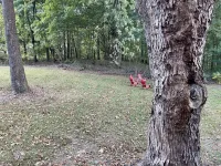 Cozy, Comfy Cabin minutes from Cave Run Lake, I-64, App Harvest, and Morehead.