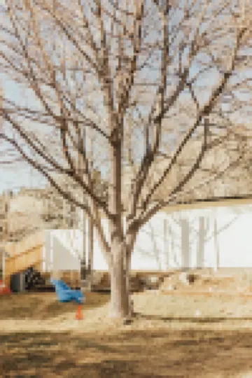 Rims view pet friendly home