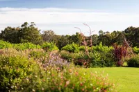 Alluca Villa McLaren Vale vineyard escape - Villas