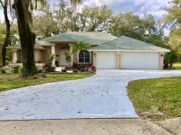 Retreat with Private Caged, Salt Water Pool, 4 Bd/3 Ba, Near Busch Gardens & USF 심스 공원 주변 호텔