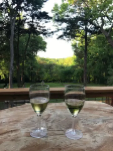 Lakeview @ Firefly Hideaway Lake Texoma Hot Tub King Bed FirePit Boat Parking