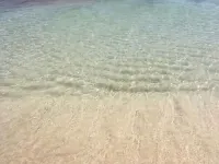 Apartment Le 2M - 1/F