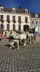Villa for 8 people on a horse farm Hotel di Hesdin-l'Abbe