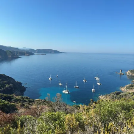 Villa with pool, between olive trees and sea - fantastic view!