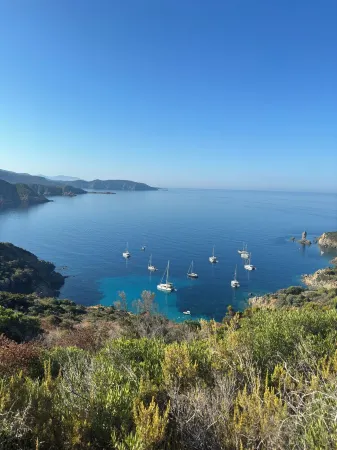 Villa with pool, between olive trees and sea - fantastic view! Отели в г. Каржез